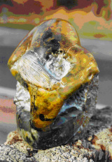 Objekt 102